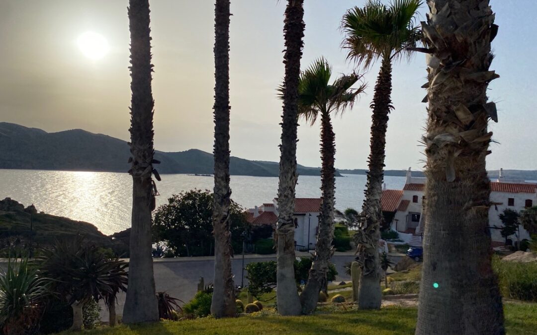 Inmo Menorca: Por Qué Hommed es la Mejor Opción